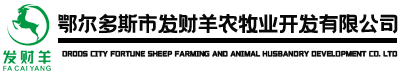 鄂爾多斯市發(fā)財(cái)羊農(nóng)牧業(yè)開(kāi)發(fā)有限公司